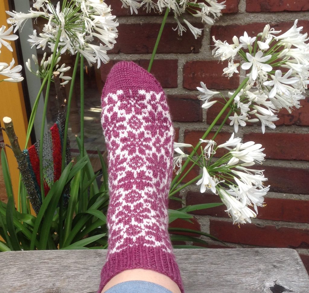 Ducathi socken